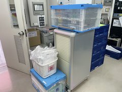 IMG_3094.JPG